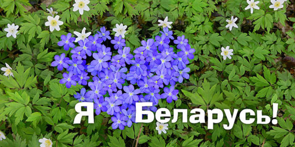 e1464720731918 В Ветковской центральной библиотеке состоялась встреча с Эдуардом Акулиным