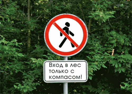 e1473337342854 Ветковский РОВД напоминает правила поведения в лесу