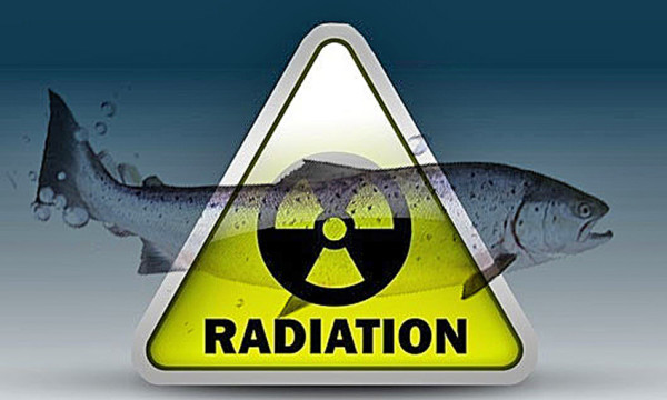 ryba-radiaciya-e1481821017258 На части территории Ветковского района любительское рыболовство находится под запретом