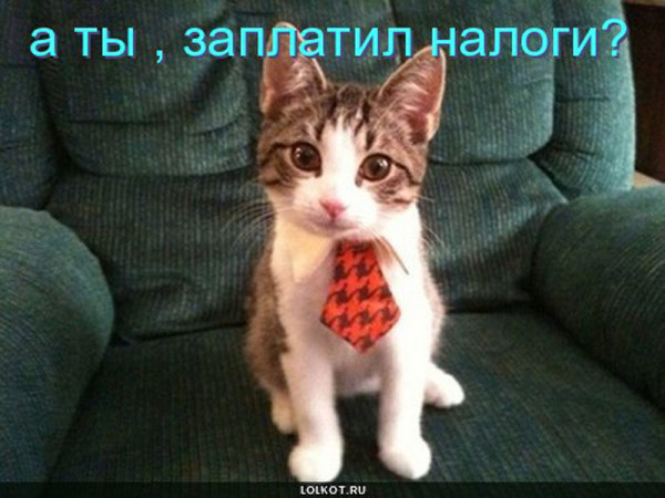 image27266236-e1485366785578 Права плательщика никто не отменял