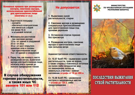 unnamed-e1489335810225 Спасателям  Ветковского райотдела по ЧС уже четырежды приходилось выезжать на тушение травяных очагов