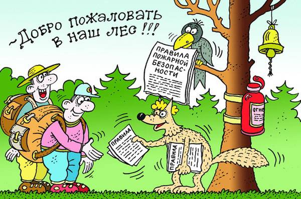 1469780834_les Спасатели и лесники стремятся сохранить лесной массив Ветковщины