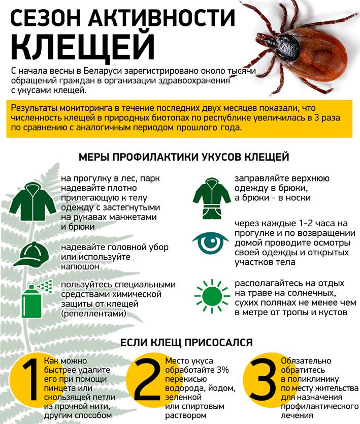 kleshh-2017 Эпидемиологическая ситуация по клещевым инфекциям на территории Ветковского района продолжает оставаться напряжённой