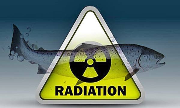 ryba-radiaciya-e1481821017258 Посещать зону опасно и дорого