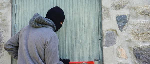 vor-e1512714799409 ОВД Ветковского райисполкома напоминает жителям профилактические меры, направленные на предупреждение краж из дачных домов и садоводческих товариществ