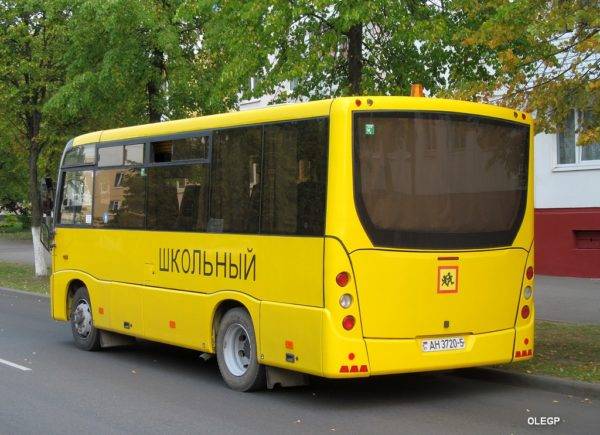 138464-e1527486450989 С 25 мая по 25 июня на территории Гомельской области проводятся профилактические мероприятия "Детский автобус"