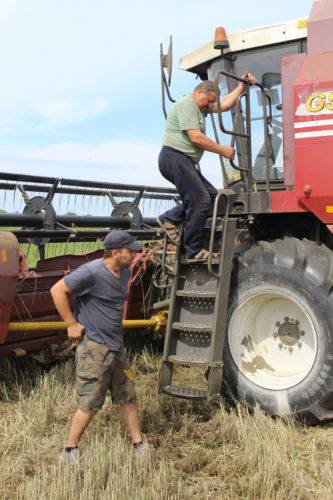 vetkovski_raion_zhatva_14_1-e1531463004272 Комбайнеры УСП "Искра-Ветка" первыми в районе приступили к жатве