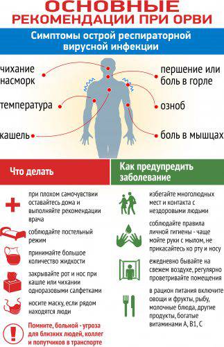 vetkovski_raion_grip_06_01-e1549435343740 Меры профилактики в сезон гриппа и ОРВИ