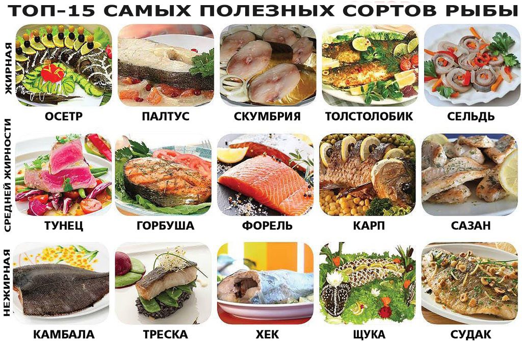 r2m-1024x668 Правда о рыбе, которую от нас скрывают